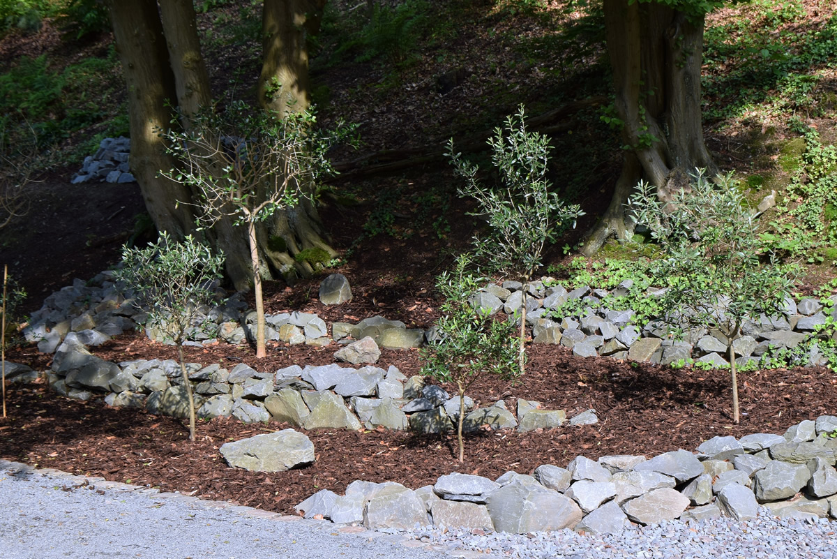 Station 12: Der Garten Gethsemane, fotografiert im Bibelgarten Weltersbach