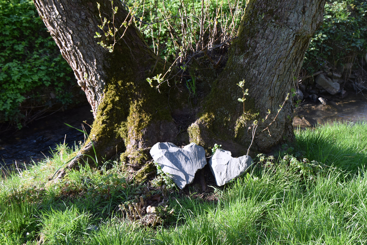 Station 6: Psalm 1, fotografiert im Bibelgarten Weltersbach